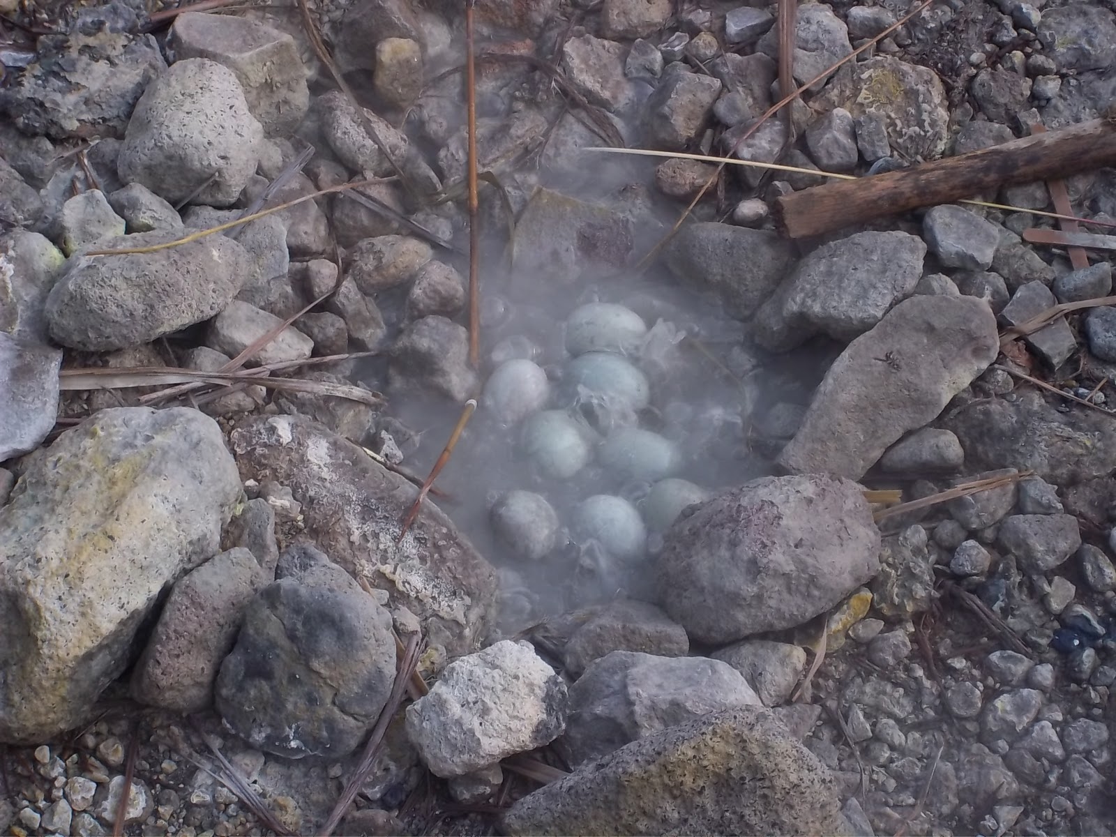Eggs cooking in the natural fumaroles
