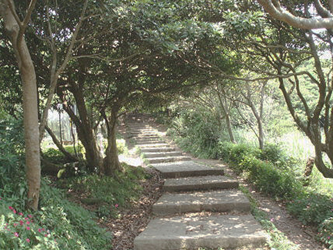 A trail up into the mountain