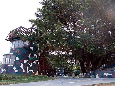 Old Banyan Bunker