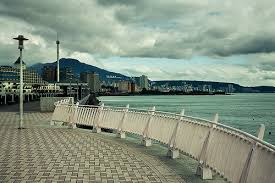 Tamsui Banyan Embankment