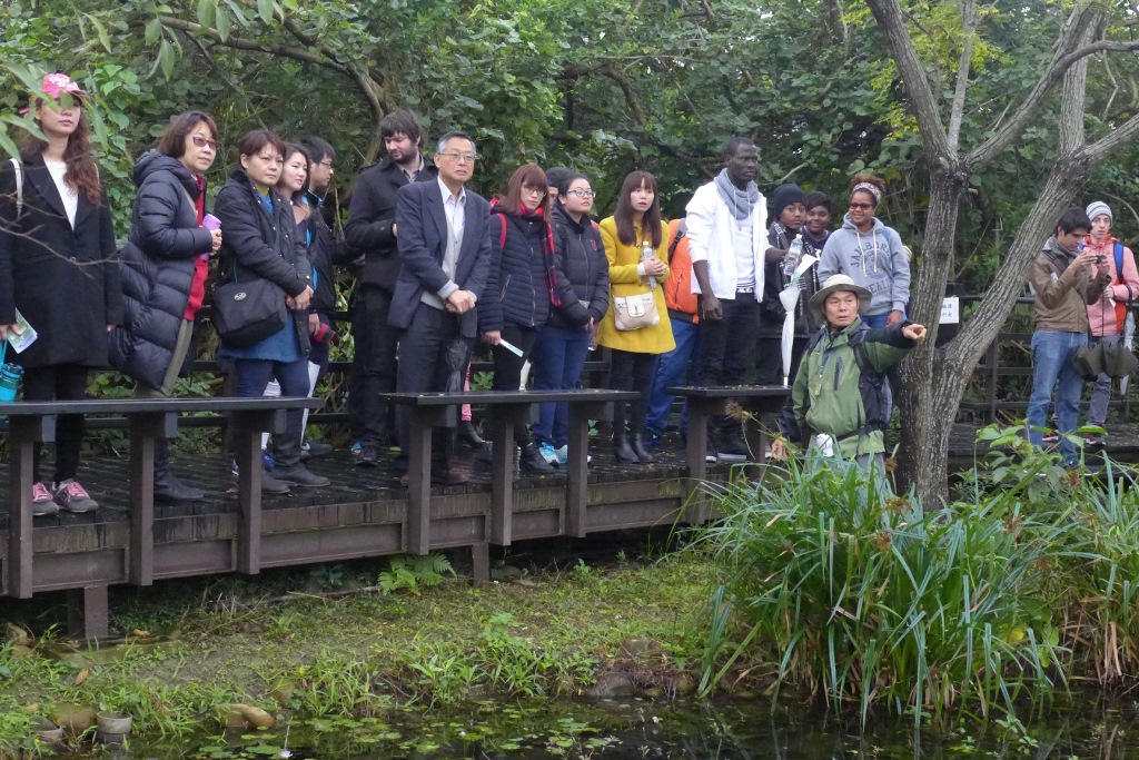 Guandu Nature Park and ecological tour